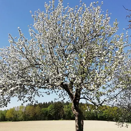 Schaidreith Ferschnitz