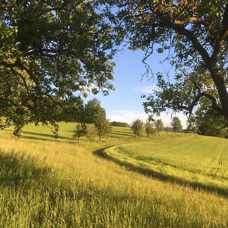 Apartment Schaidreith