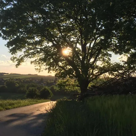 Schaidreith Apartment *