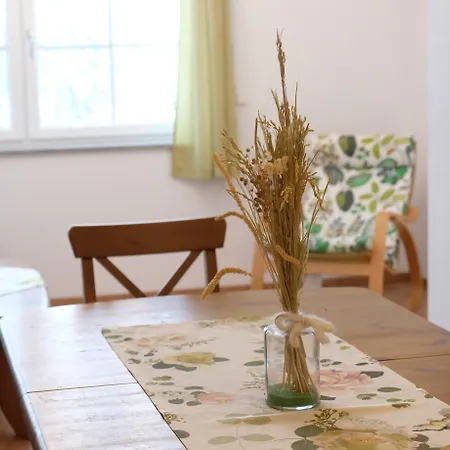 Schaidreith Apartman *