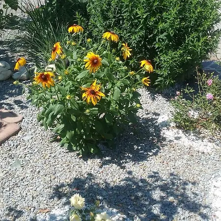 Schaidreith Appartement