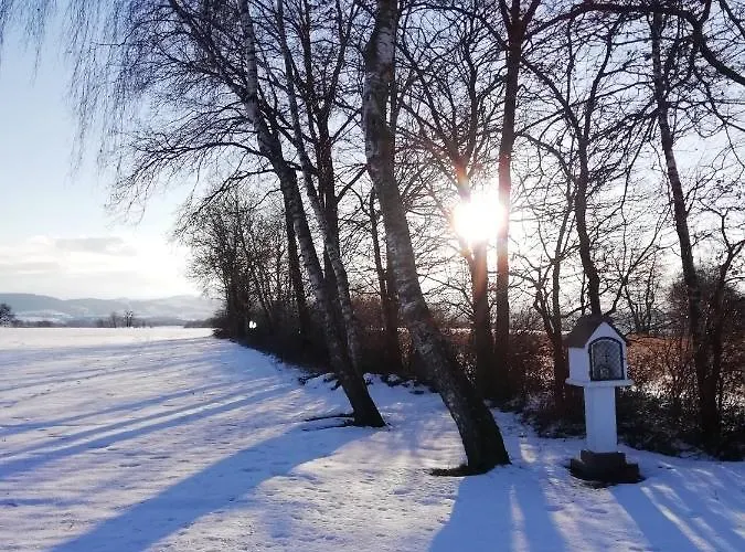 아파트 Schaidreith *