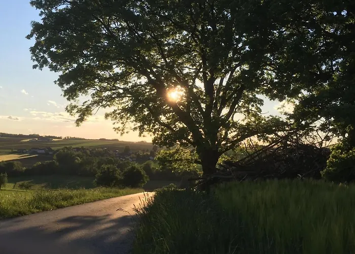 Schaidreith 아파트 *